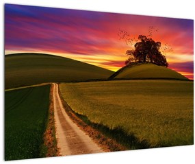 Mező és a színes ég képe (90x60 cm)