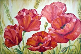 Kép - Pipacsvirágok (90x60 cm)