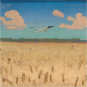 Fotótapéta Flizelin Dekoratív Irodai Búzamező 250x250 Ragasztó
