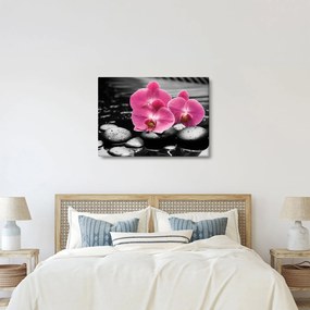 Kép - Rózsaszín orchideák (70x50 cm)