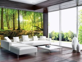 Fotótapéta - Napos erdő (152,5x104 cm)