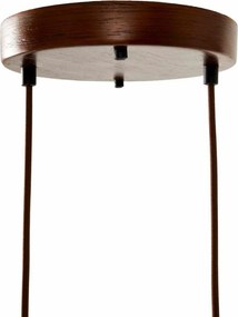 Loer B - Walnut - ELS
