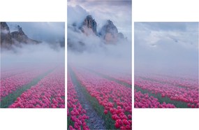 Kép - Tájkép tulipánmezőkkel (90x60 cm)