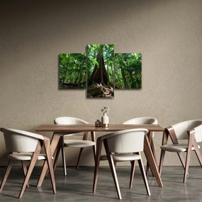 Kép - A fa gyökerei (90x60 cm)