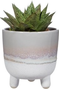 Bohemian Home Mojave szürke virágcserép, ø 11,7 cm - Sass &amp; Belle