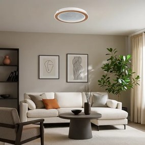 Rabalux 71281-LED Dimmelhető mennyezeti lámpa ZOFRAEL 24W/230V 3000-6500K Ø40 cm+ távirányító