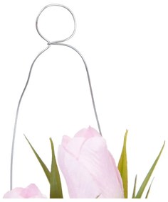 Művirág (magasság 18 cm) Tulip – Ixia