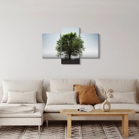 Kép - Magányos fa (90x60 cm)