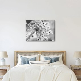 Kép - Virág télen (70x50 cm)