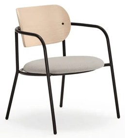 Világosszürke fotel kőrisfa dekorral Eclipse - Teulat