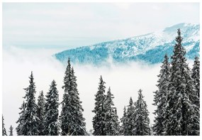 Öntapadó fotótapéta havas fenyőfák