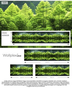 Wallplex konyhahátfal Smaragd Erdő (Méret: 60x180)