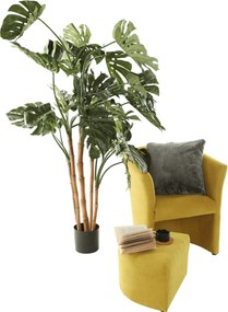 Klub fotel puffal, mustár, ROSE