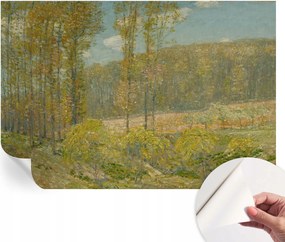 Öntapadós tapéta Divatos 3D fali ragasztó Erdei tájkép 152x104 cm