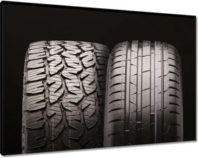 Vászonkép 100x70 Téli és nyári gumiabroncsok