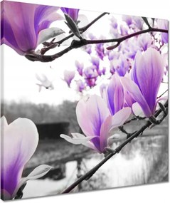 Vászonkép 50x50 Magnólia Virágok