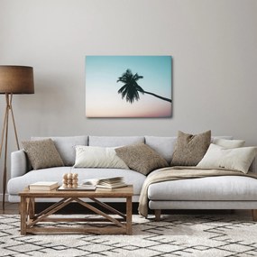 Kép - Pálmafa Balin (70x50 cm)
