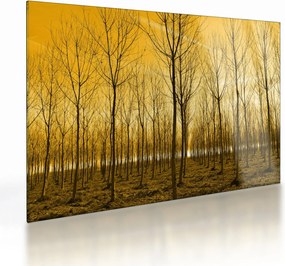Kép - Faültetvény (üvegen) (70x50 cm)