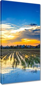 Vászonkép 55x115 Kilátás Tájkép