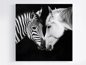 Poszter Portré Ló Zebra Fehér Fekete Kontraszt B&amp;w 80x80
