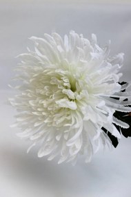 Krémszínű mű krizantém 65cm