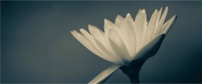 Virágos kép (120x50 cm)