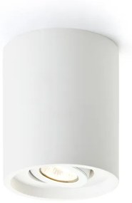 RENDL R10454 COLES felületre szerelhető lámpatest, gipsz gipsz