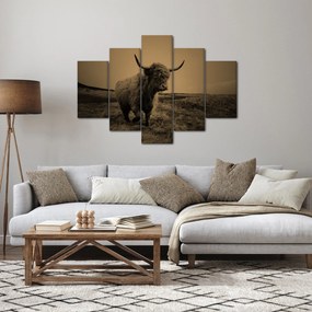 Kép - Skót tehén menekül (150x105 cm)