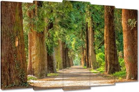 Festmények 150x95 Út a parkban Fák