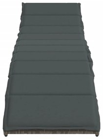 Szürke polyrattan napozóágy párnával 55x199x50 cm