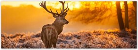 Fotótapéta flizelina 624x219 Szarvas a naplementében
