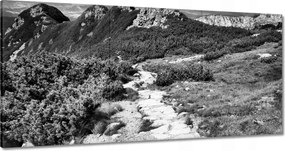 Képek 120x60 Tátra Lengyel hegyek Kilátás