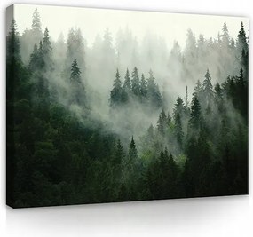 Vászon Falikép Hálószoba Nappali Erdő A Ködben Fák Nagy 120x80