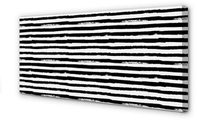 Canvas képek Szabálytalan csíkos a zebra 100x50 cm