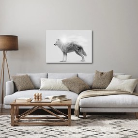 Kép - Vad tájat tükröző sarkvidéki farkas, fekete-fehér (70x50 cm)