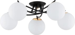 Alfa SAVI 63258 Plafonlámpa 5x10W/E14 IP20