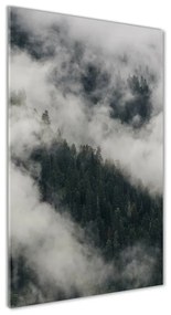Üvegkép nyomtatás Cloud az erdő osv-92103415