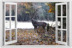 Poszterek 90x60 Szarvas az erdőben Erdő