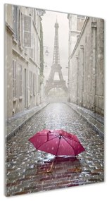 Üvegkép falra Esernyő franciaország osv-66343013