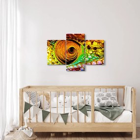 Kép - Kaméleon (90x60 cm)