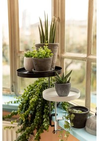 3 db szürke terrakotta virágcserép - Esschert Design