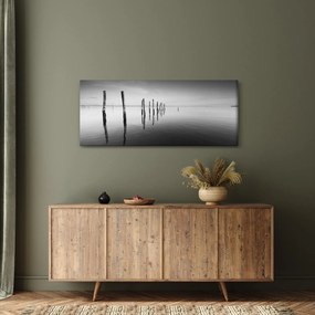 Egy fekete-fehér vízfelszín képe (120x50 cm)