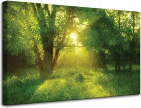 Vászonkép Pasztell Stílus Napfa 80x50 cm Ajándéknak is tökéletes