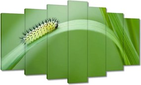 Vászonkép 140x80 Zöld hernyó