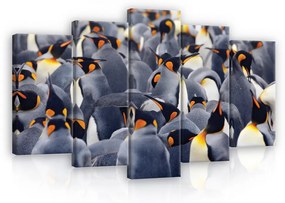 Vászonkép 5 darabos, Pingvinek 100x60 cm méretben