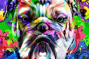 Kép pop art francia bulldog