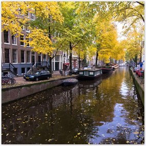 Poszterek 70x70 Holland folyó