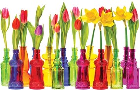 Fotótapéta - Tulipán (152,5x104 cm)