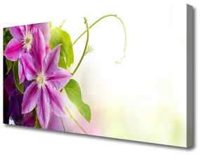 Vászonfotó Virágok Természet 125x50 cm