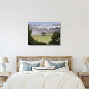 Egy kép a rétről egy fával (70x50 cm)